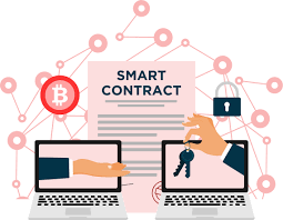 Smart Contract Developer